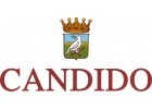 Candido